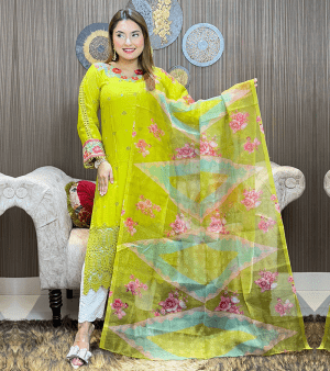পাকিস্তানি ইন্সপায়ার্ড ELEGANT টু পিস- প্যারট গ্রিন