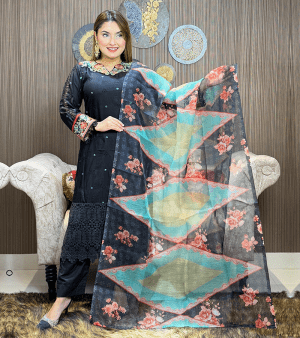 পাকিস্তানি ইন্সপায়ার্ড ELEGANT টু পিস- কালো